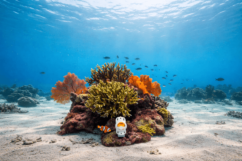 Seawater Data Logger: High-Precision Autonomous Monitoring for Marine Research and Aquaculture